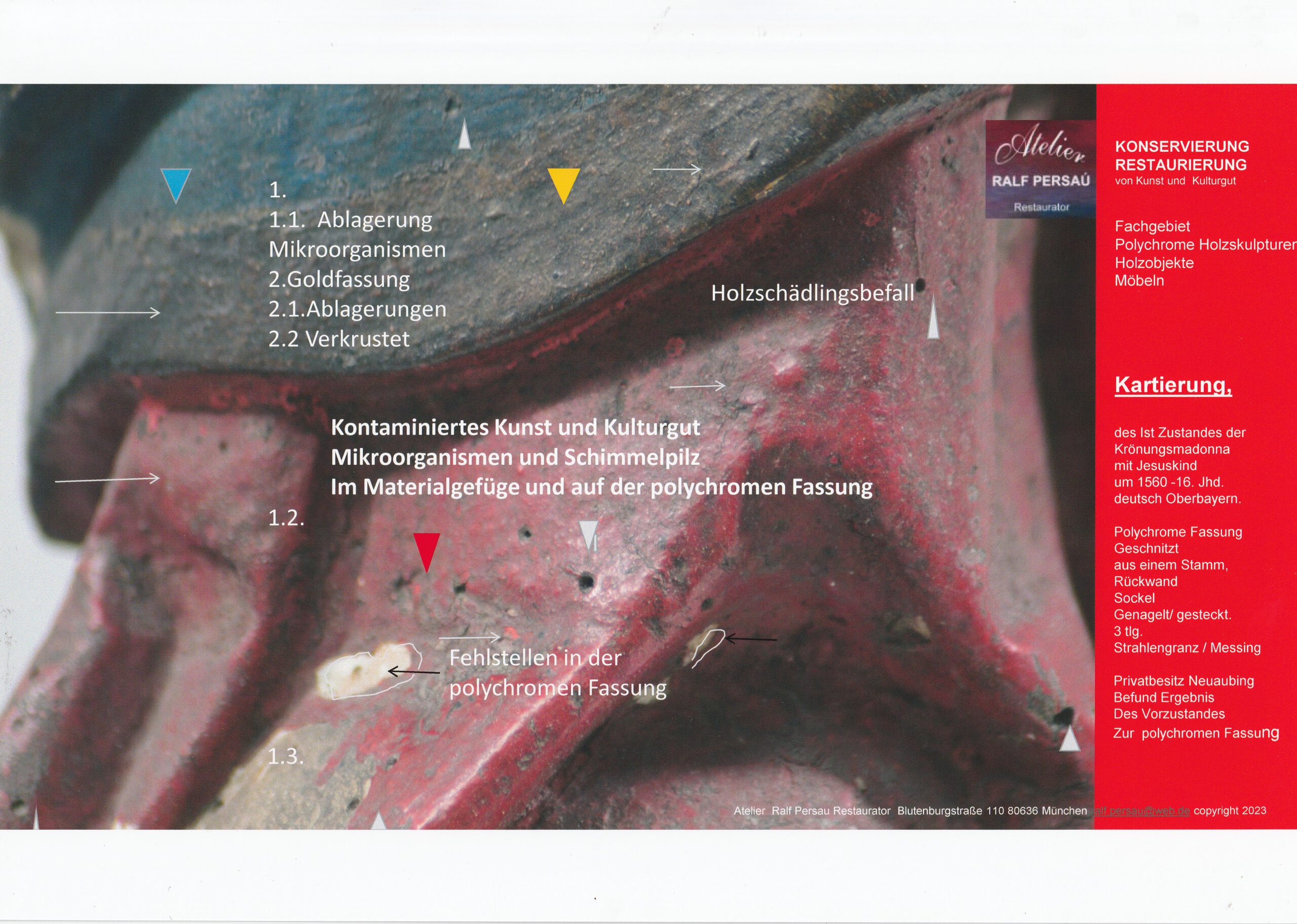 Gefahr durch Microoragnissmen Schimmelpilz